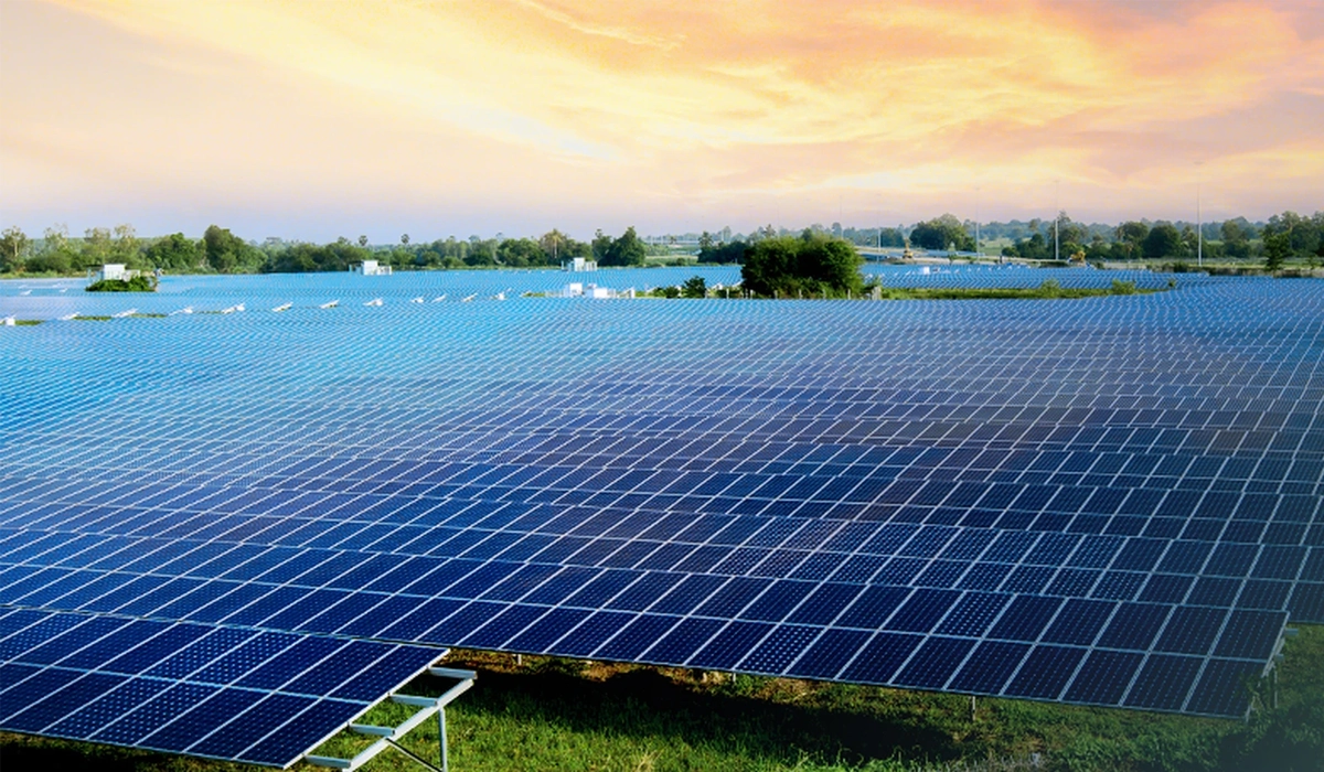 Solar panel palletization